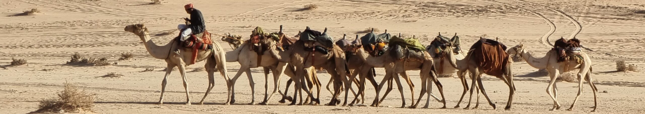 20220921_171754 20220921_171754