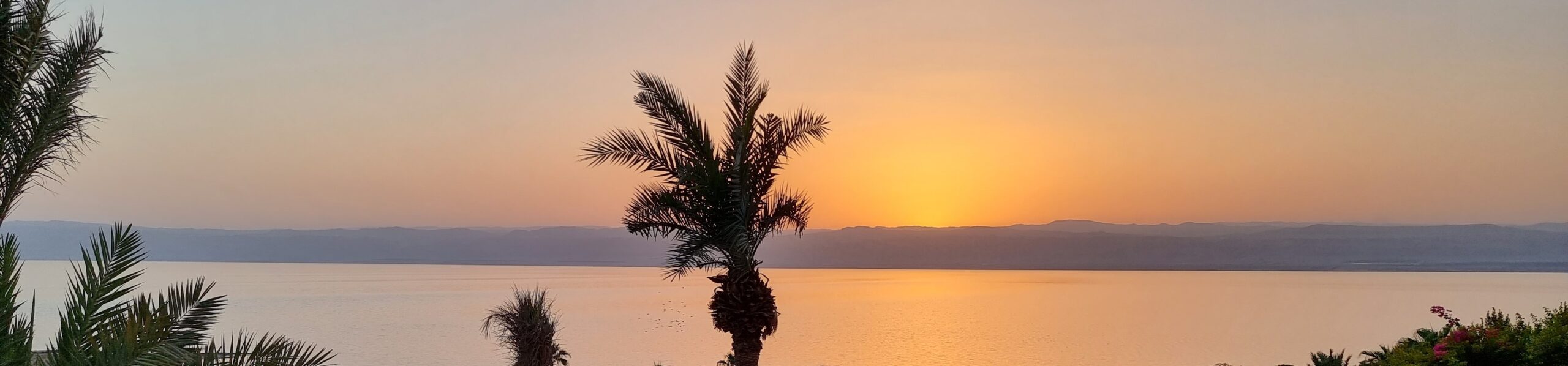 20220923_182420 20220923_182420