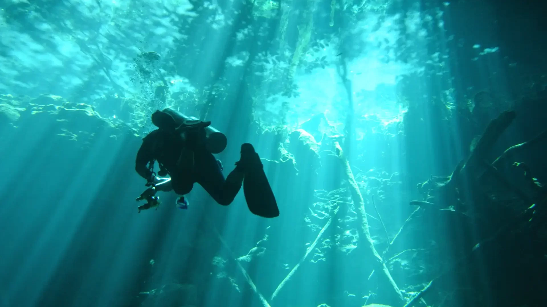 cenoty-mexiko-potapeni-3 cenoty-mexiko-potapeni-3