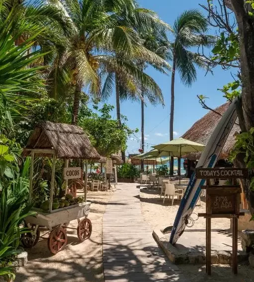 mexiko-cenoty-hotel-3 Hotel v Mexiku, cesta na pláž.