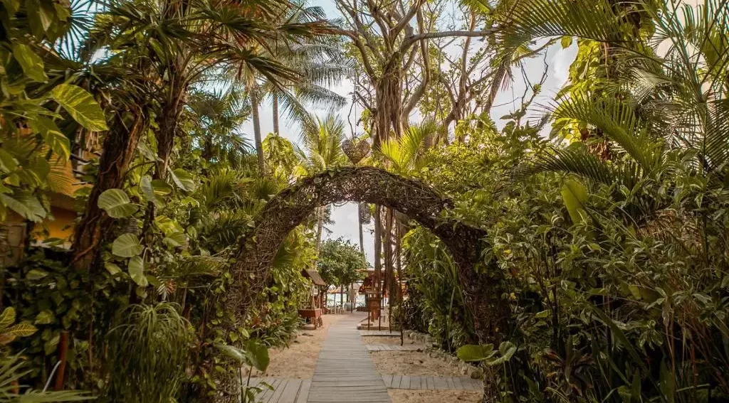 mexiko-cenoty-hotel-5 Cesta na pláž přes hotelovou zahradu.