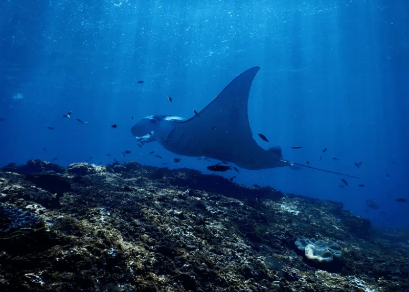 Maledivy – centrální atoly