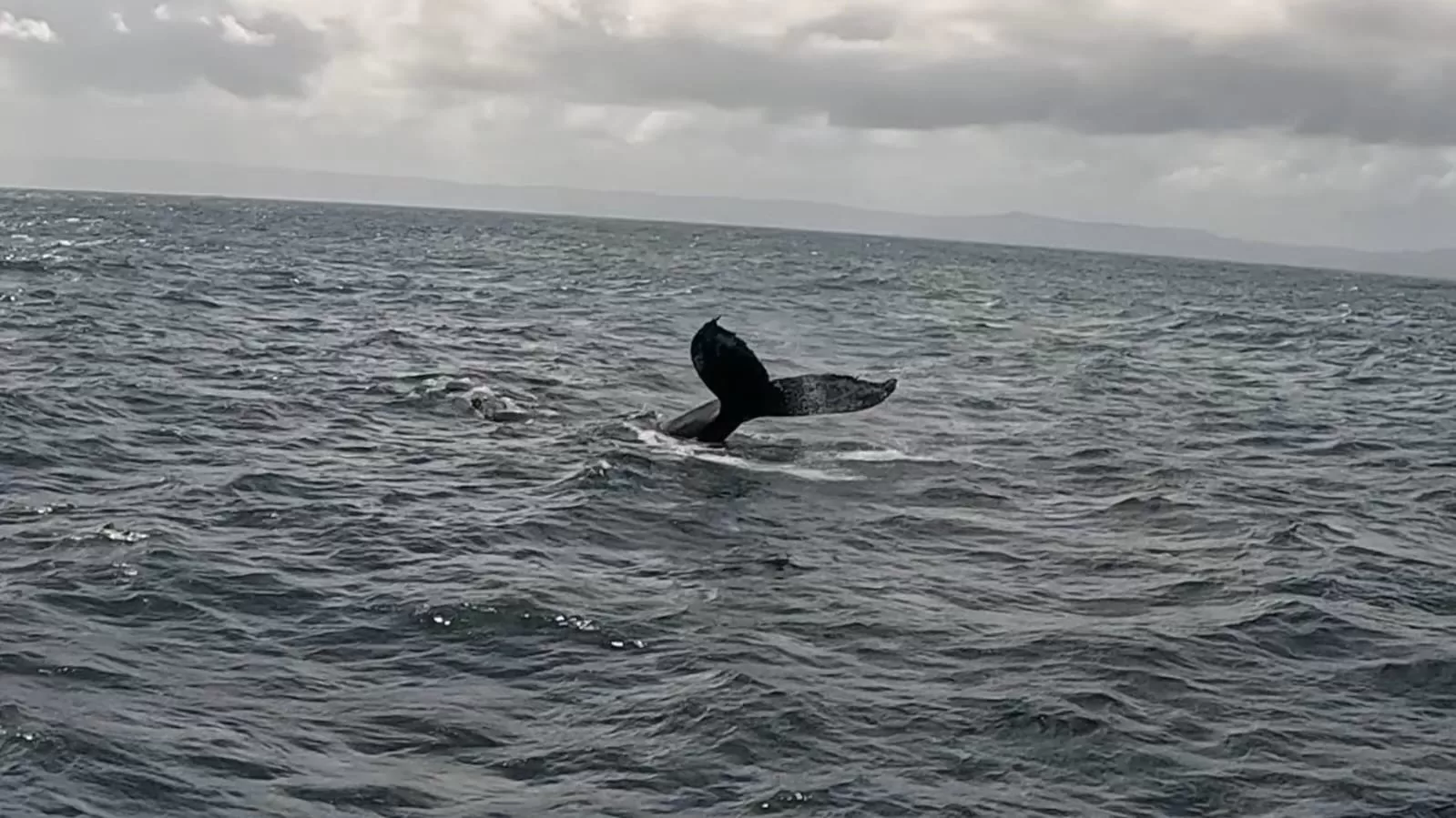 eaa934dd-a533-47b9-a67f-d78626835a11