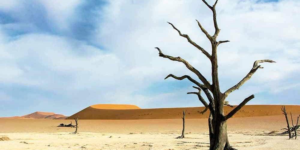 Dead-vlei Dead-vlei