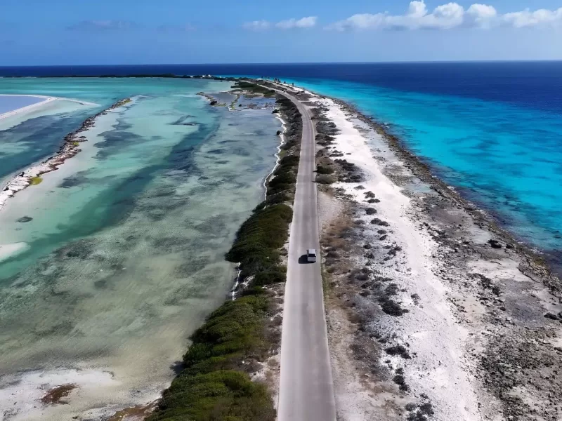 bonaire14