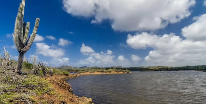 bonaire6