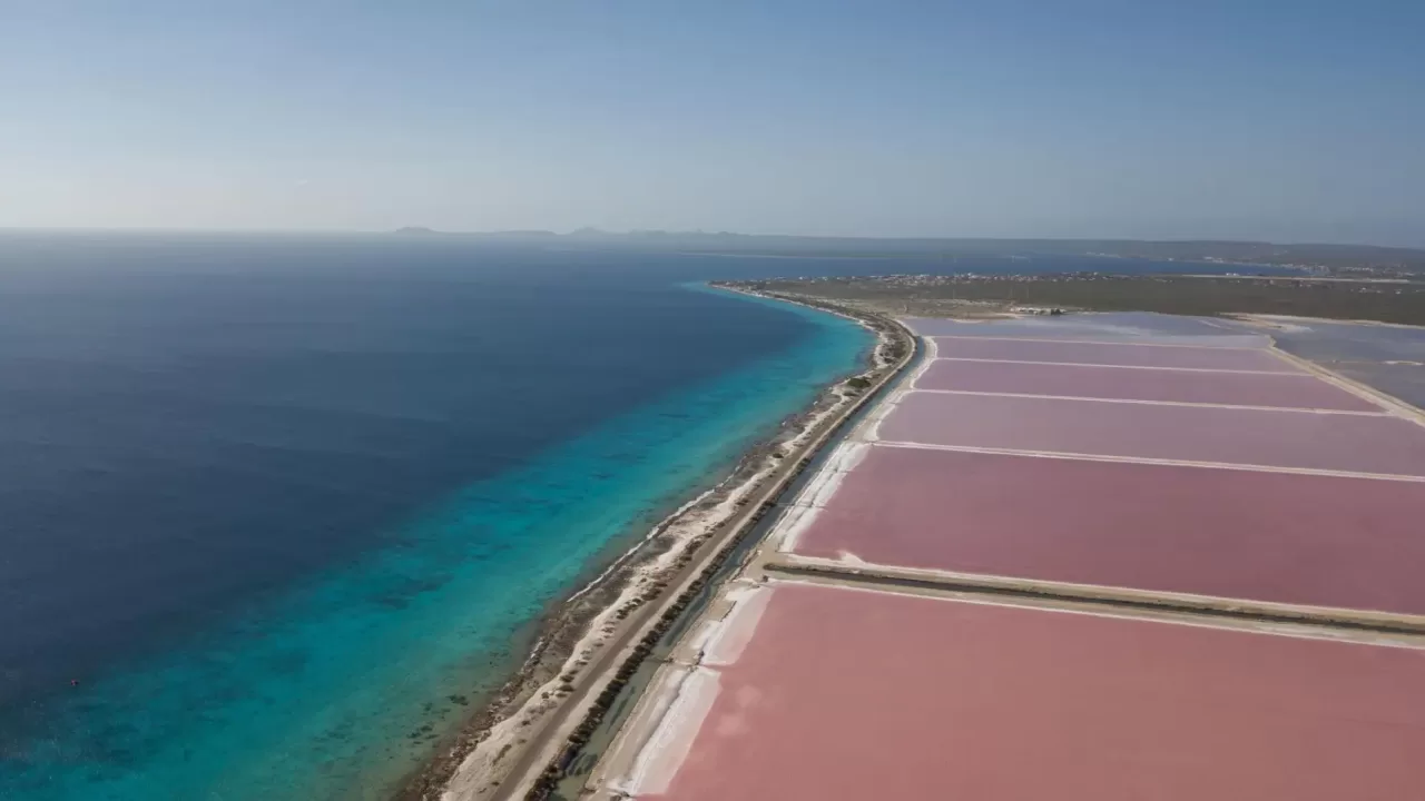 bonaire9