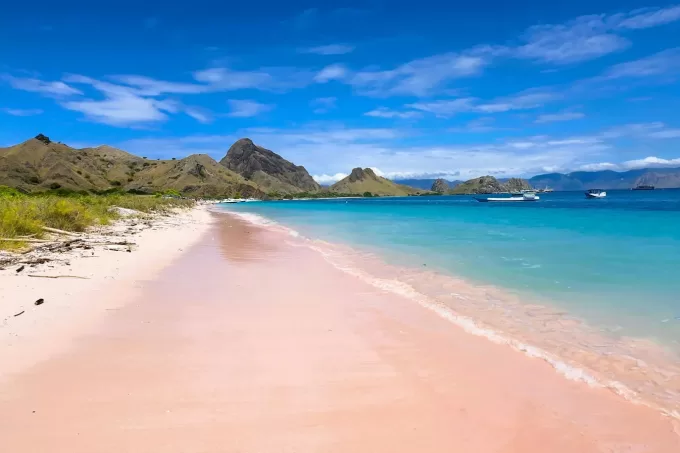pink_beach pink_beach